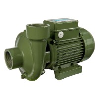 Наcосный агрегат моноблочный резьбовой SAER BP4 230V